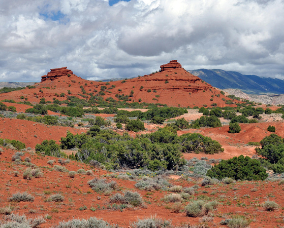 Red Hills in the Lower Sykes Area