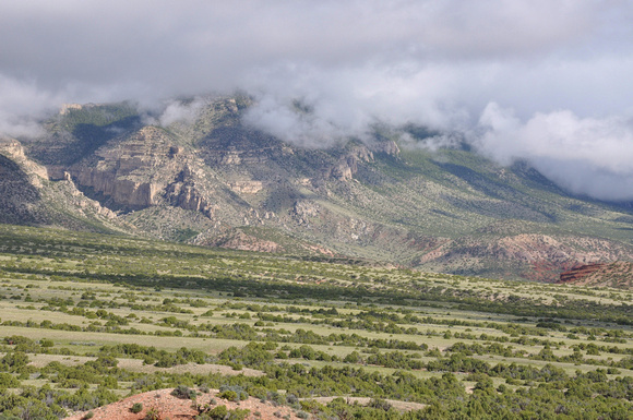 Mustang Flats in the Dryhead
